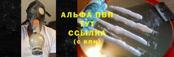 ГАЛЛЮЦИНОГЕННЫЕ ГРИБЫ Гусев