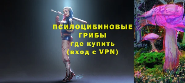 ECSTASY Гусь-Хрустальный