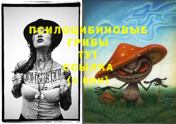 марки lsd Гусиноозёрск