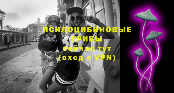 ГАЛЛЮЦИНОГЕННЫЕ ГРИБЫ Гусев