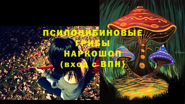ГАЛЛЮЦИНОГЕННЫЕ ГРИБЫ Гусев