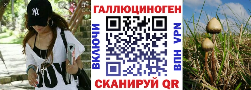 Купить где  Дмитровск  Псилоцибиновые грибы Magic Shrooms 